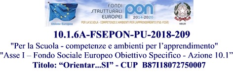 PON 10.1.6A-FSEPON-PU-2018-209