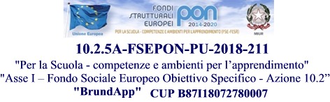 PON 10.2.5A-FSEPONPU-2017-211