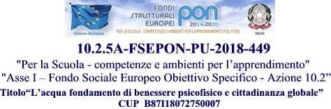 PON 10.2.5A-FSEPONPU-2018-449