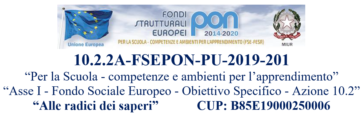 10.2.2A-FSEPON-PU-2019-201